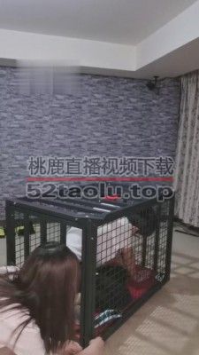 【夏夏绳缚】囚禁虐待圈养狗 bf4569