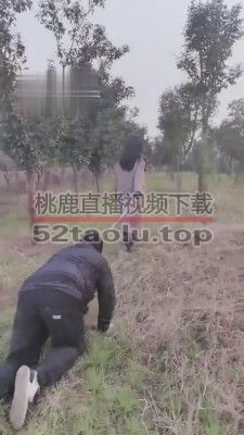 【药神】户外遛狗骑马活埋 bf5278