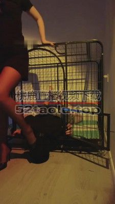 【书瑶瑶瑶】狗笼调教圈养喂食圣水【下】 bf7543