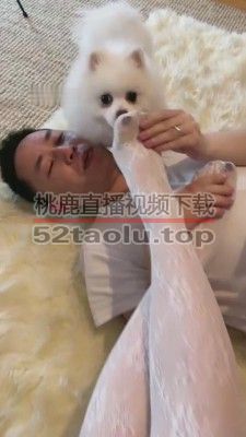 【风吟女神】双S踩踏碾压狗奴直播 bf8120