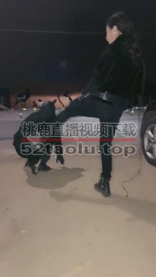 【鑫儿教头】户外公开军训爬行犬 bf11262