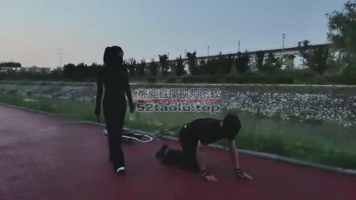 【药神】雨天户外遛狗 bf12697