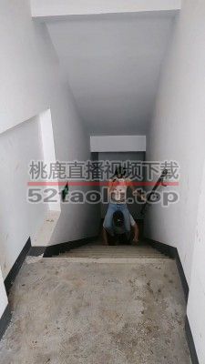 【暴力美学s】天台楼梯野外训练贱狗 bf15173