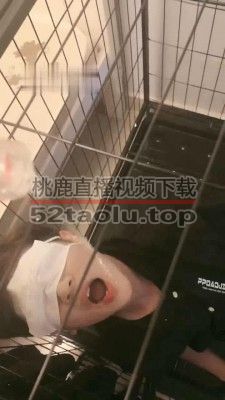 【陌初】多主群调圈养狗【四视角版】 JS220902202