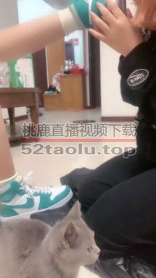 【全国最贱女M】双女奴舔脚专场【完整版】 bf20379