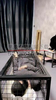 【冷凝大大】圈养囚禁虐刑奴  JS22120601