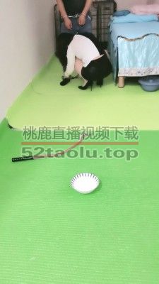 【美容院S】狗笼圈养手铐捆绑跪求圣水/转胯爬行 JS23051203