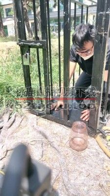 【沅芷大人】关狗笼圈养犬化-手铐捆绑/高跟踩踏 bf28263