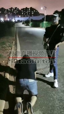 【朱迪】双S户外遛狗散步【双视角版】 bf33283