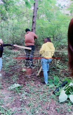 【艾琳】三S-户外-吊绑重度虐打【三视角版】 JS231012