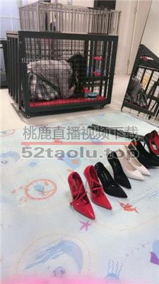 【狠欣人】狗笼圈养囚禁发骚母畜【上】  JS231125-2