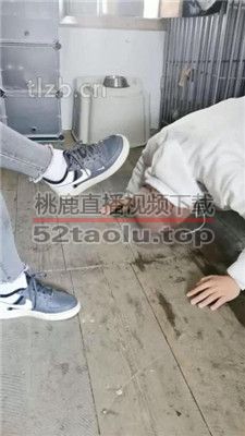 【大美】跑步后臭鞋袜深吸/赏赐洗脚水 bf36037