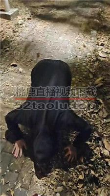 【上头姐妹】户外遇到猥琐男强制吃鞋底 JS240108-14