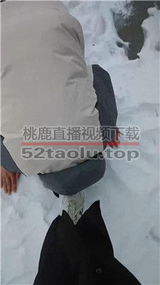 【Esse殿下】冰天雪地户外遛狗【完整版】 JS240223-3