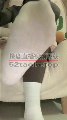【小猫】近距离-原味白棉袜贴屏幕 JS240311-5