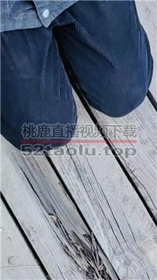 【丝丝清欢】户外-让狗下跪羞辱 JS240327-10