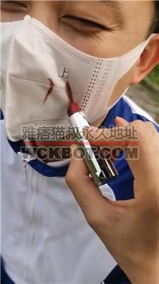 【皮皮】户外黑丝盛宴-骑马遛狗/转胯虐乳/脚踩喂食/路人围观 bf40210