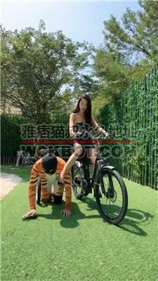 【红焱】双S-车夫的多种用途 bf41933