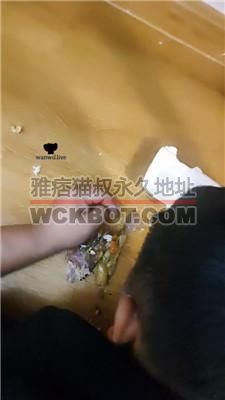 【淄博女王】骑狗背脚下喂食 JS240615-2