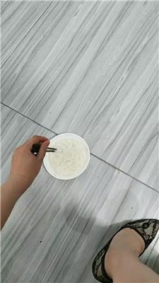 【格桑】双S-脚下喂食专场 JS241001-5