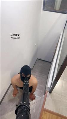 【倪小主】吊绑重度鞭打/楼梯间狗爬驯化 bf45646