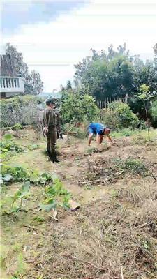 【圈养基地】囚犯严刑管制-劳动改造【双视角版】 JS241014-12