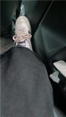 【芝芝女王】车内让狗舔脏鞋臭脚 JS241023-14