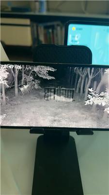 【沅芷大人】直播聊天让你看看监控里的狗 JS241027-19