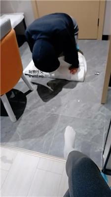 【奇了怪了】超臭原味白袜气味辱 JS241028-25