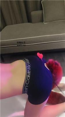 【米小糖】狗尾巴发骚/鞭打/黑丝高跟踩 JS241118-36