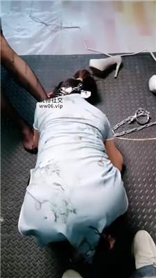 【九创】情侣主暴虐小三母畜 JS250107-46