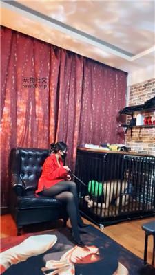 【冷颜】狗笼圈养绿帽狗-狗盆喂圣水 bf50624