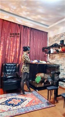 【冷颜】绿帽狗囚禁狗笼-黑丝脚玩虐 JS250302-20