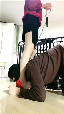 【缘彼大大】四肢固定犬化专场 JS250318-13