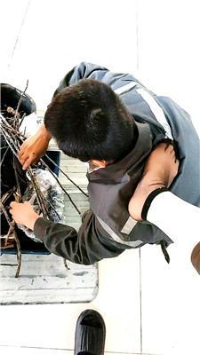 【银南女帝】户外监工家奴 JS250402-2