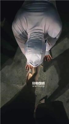 【暖暖】户外遛人形犬【完整版】 JS250916-33