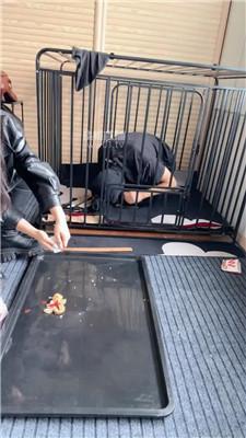 【77夫妻】圈养狗笼-踩踏喂食[下] JS251007-2