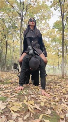 【爱丽丝】户外骑马骑脖场 JS251028-2