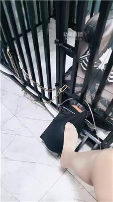 【玫瑰】双S-给狗东西挂狗牌【双视角版】 JS260307-60